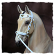Portuguese presentation halter for model horses made by Jana Skybova